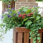 La Foresteria Dell'oasi Morozzo