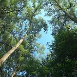 La Foresteria Dell'oasi Morozzo