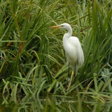 Хостел La Foresteria Dell'oasi *