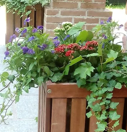 La Foresteria Dell'oasi Morozzo