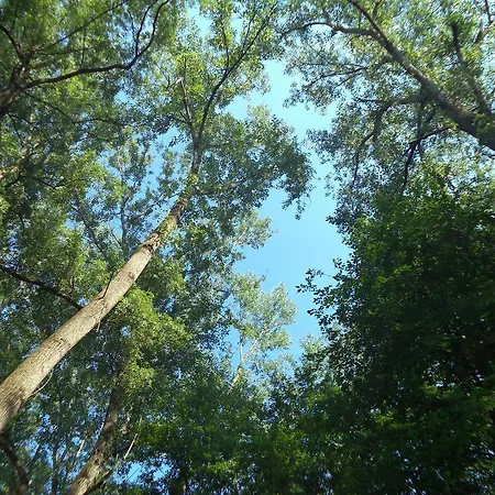La Foresteria Dell'oasi Morozzo