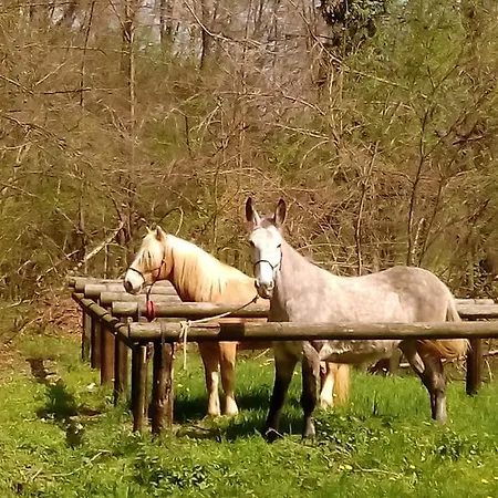 La Foresteria Dell'oasi Morozzo