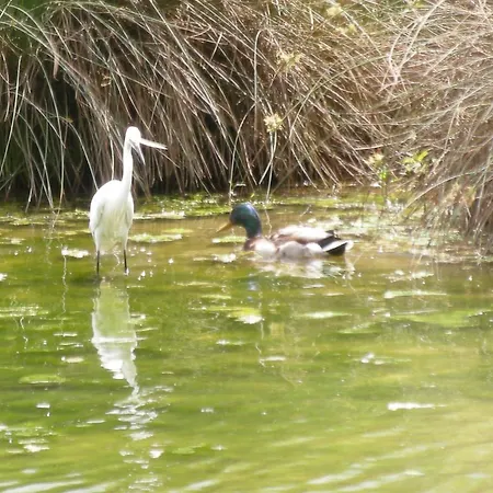 Хостел La Foresteria Dell'oasi Morozzo