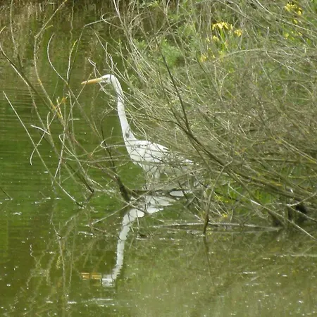 Хостел La Foresteria Dell'oasi *
