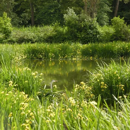 La Foresteria Dell'oasi