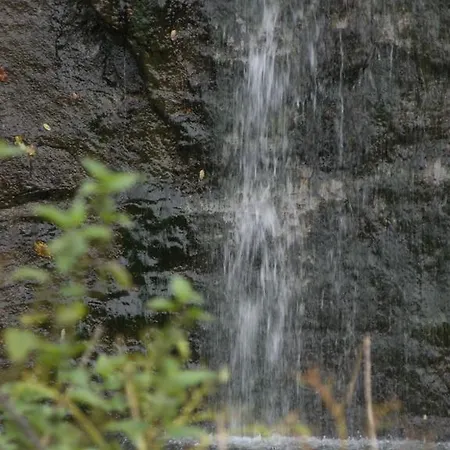 Хостел La Foresteria Dell'oasi Morozzo