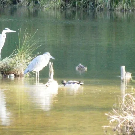 Хостел La Foresteria Dell'oasi *