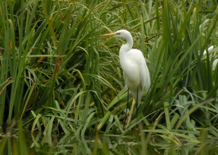 Vandrerhjem La Foresteria Dell'oasi *