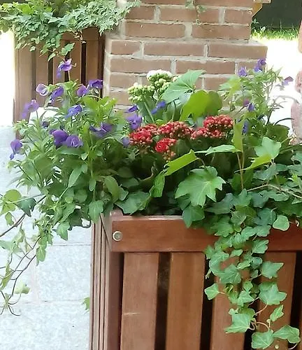 La Foresteria Dell'oasi Morozzo