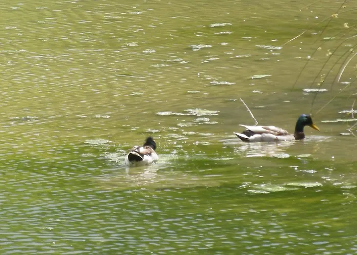Vandrerhjem La Foresteria Dell'oasi Morozzo