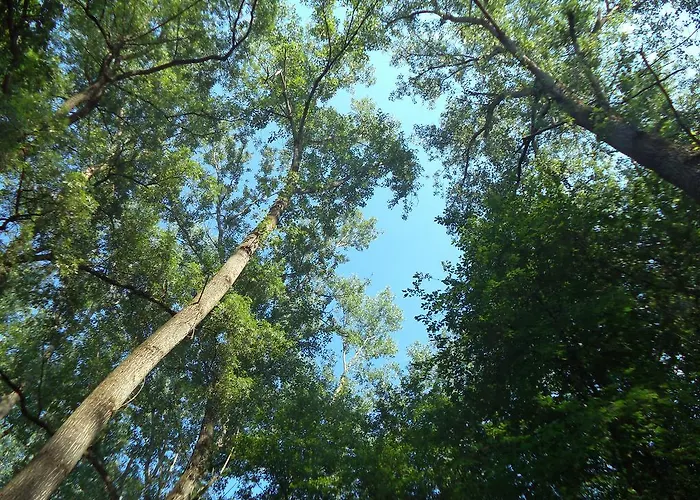 La Foresteria Dell'oasi Morozzo