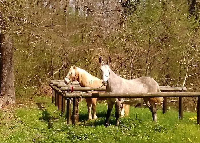 La Foresteria Dell'oasi Morozzo