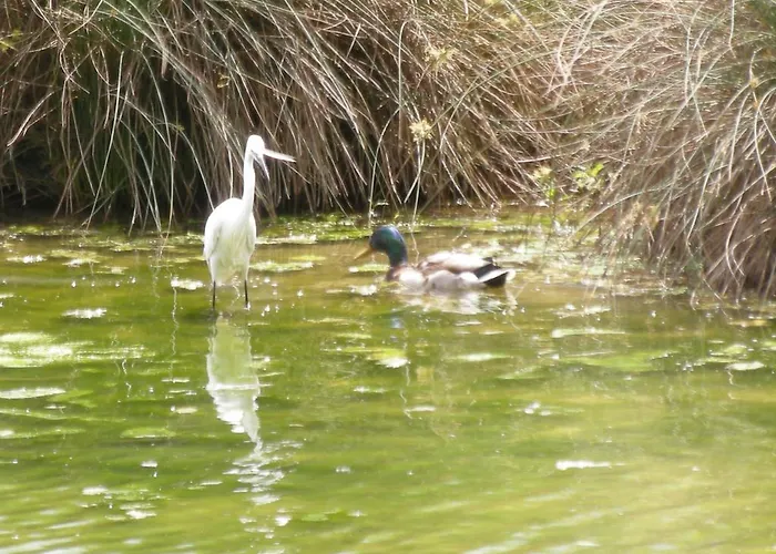 Vandrerhjem La Foresteria Dell'oasi Morozzo