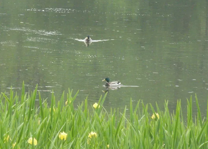 Vandrerhjem La Foresteria Dell'oasi *