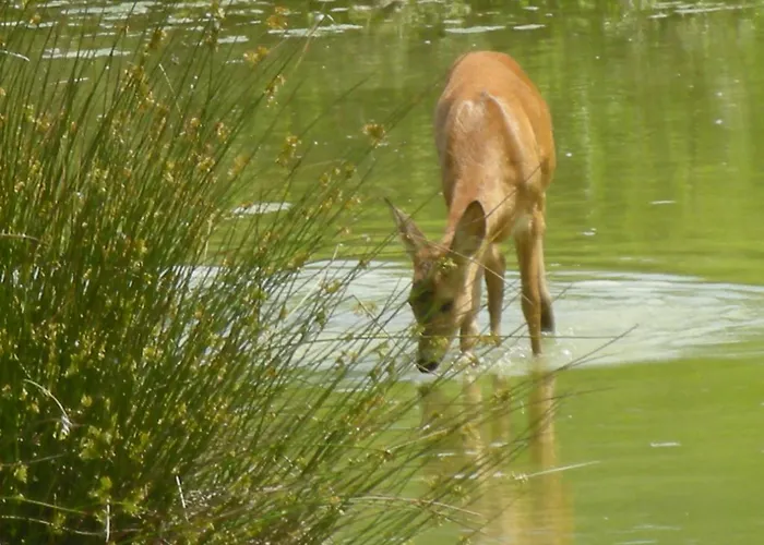 Vandrerhjem La Foresteria Dell'oasi Morozzo