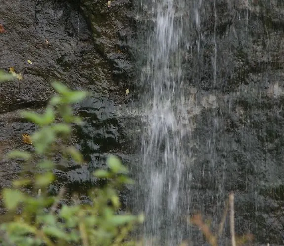 Hostel La Foresteria Dell'oasi Morozzo