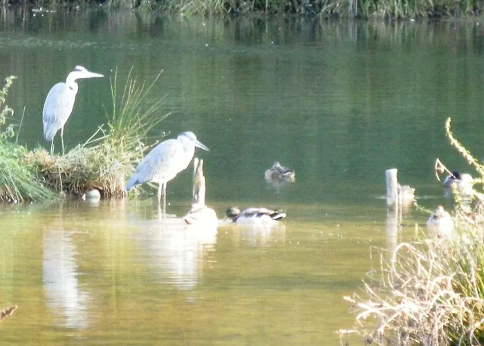 Vandrerhjem La Foresteria Dell'oasi *