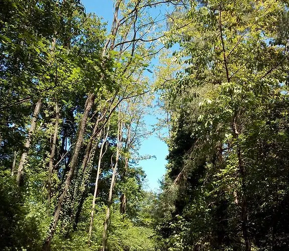 Vandrerhjem La Foresteria Dell'oasi *